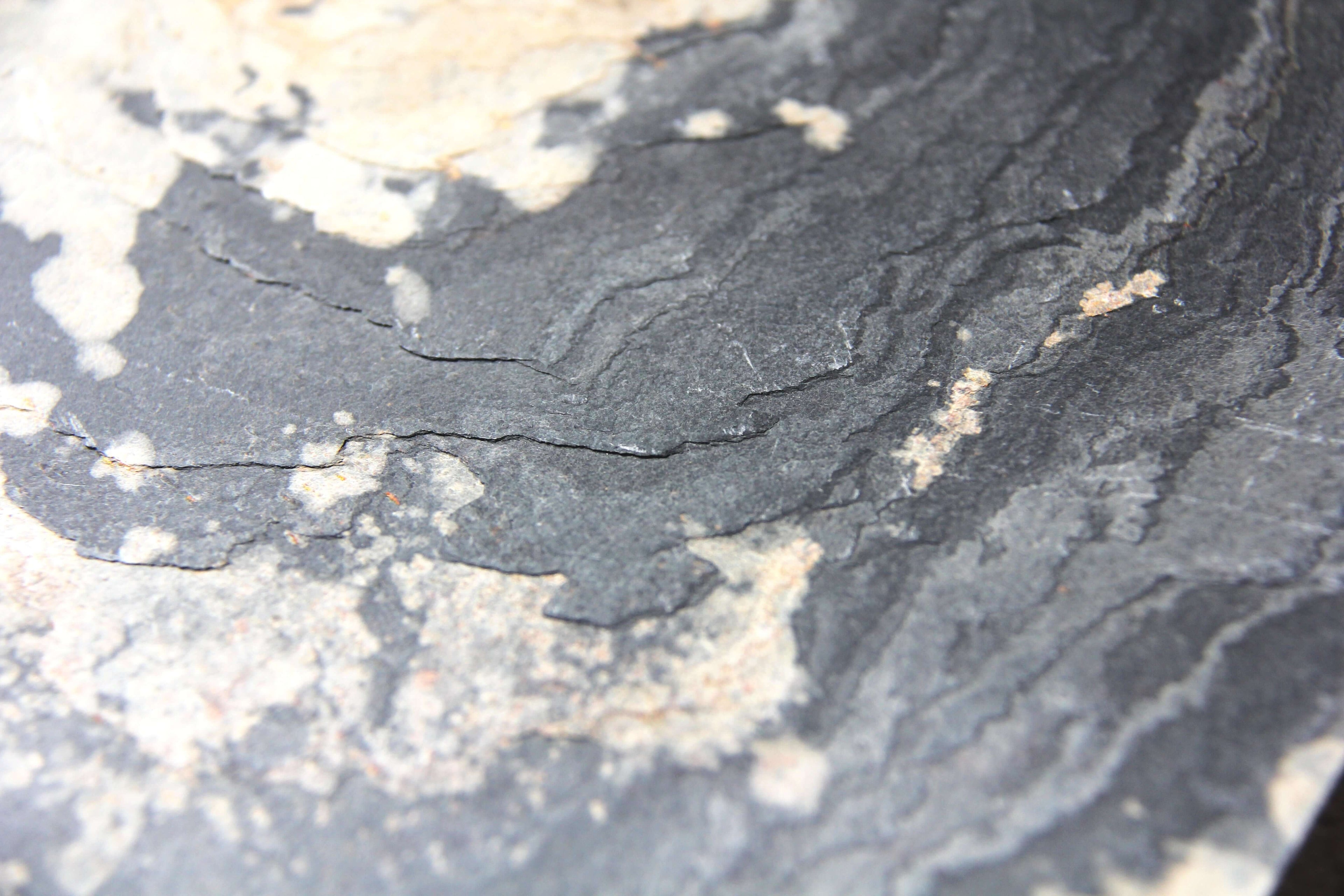 Close-up of gray-blue stone veneer with pale beige mineral flecks and striations