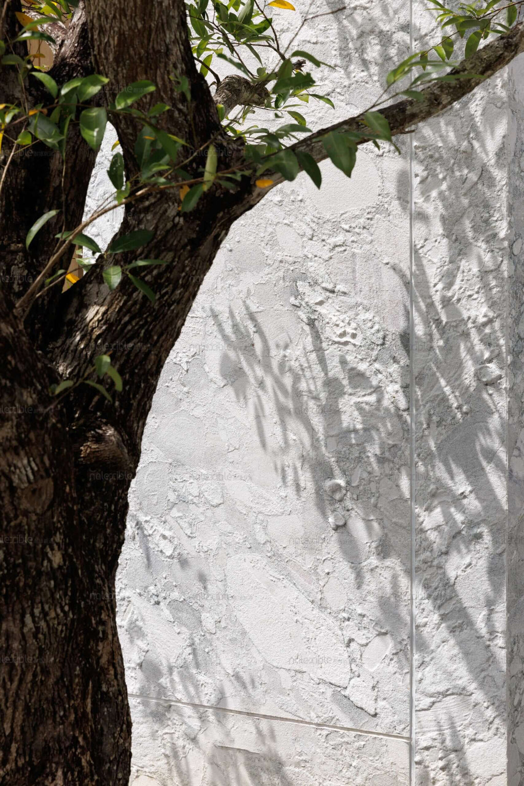Granite stone veneer siding panel in light gray with subtle mottled veining.